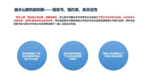欧赛斯深度解析 网络技术如何驱动金华区域农产品发展